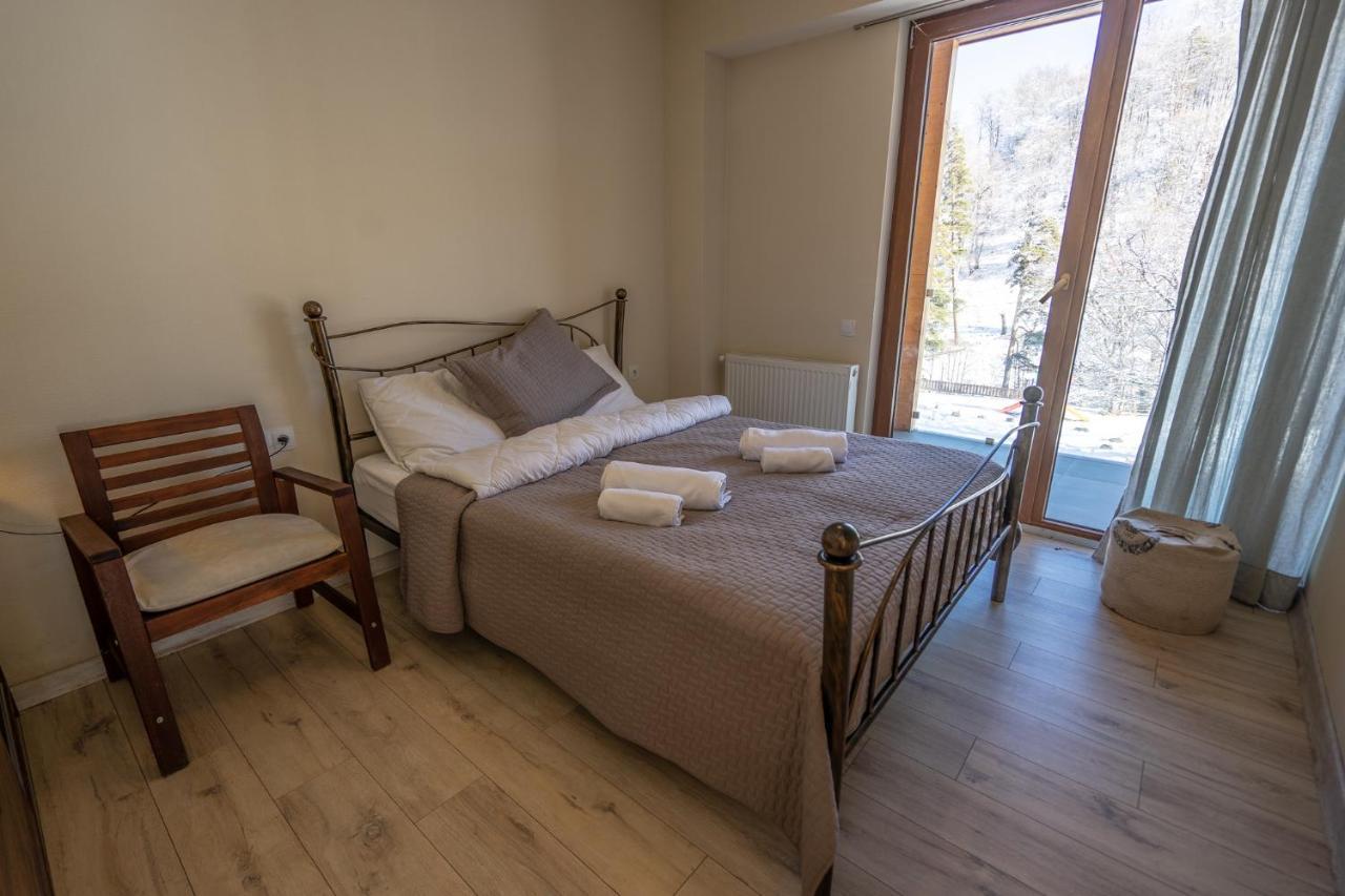 Didveli Valley Bakuriani Zewnętrze zdjęcie