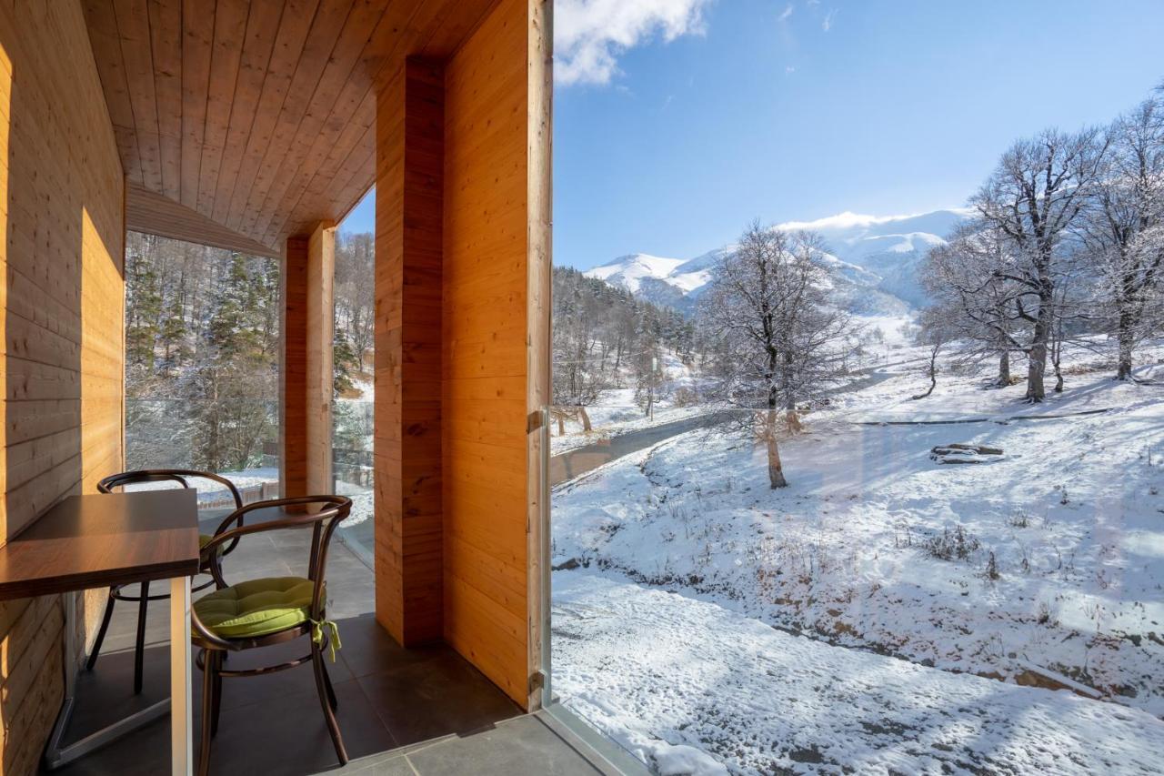 Didveli Valley Bakuriani Zewnętrze zdjęcie